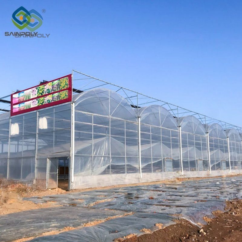 Vegetable Cultivation Film Greenhouse EG-D-A07128