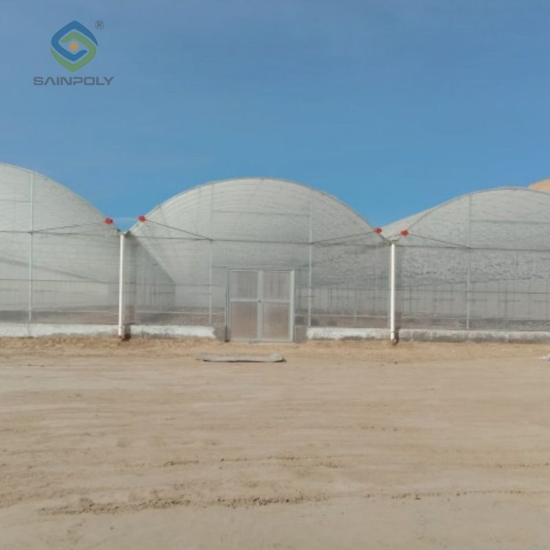 Vegetable Cultivation Film Greenhouse EG-D-A07128
