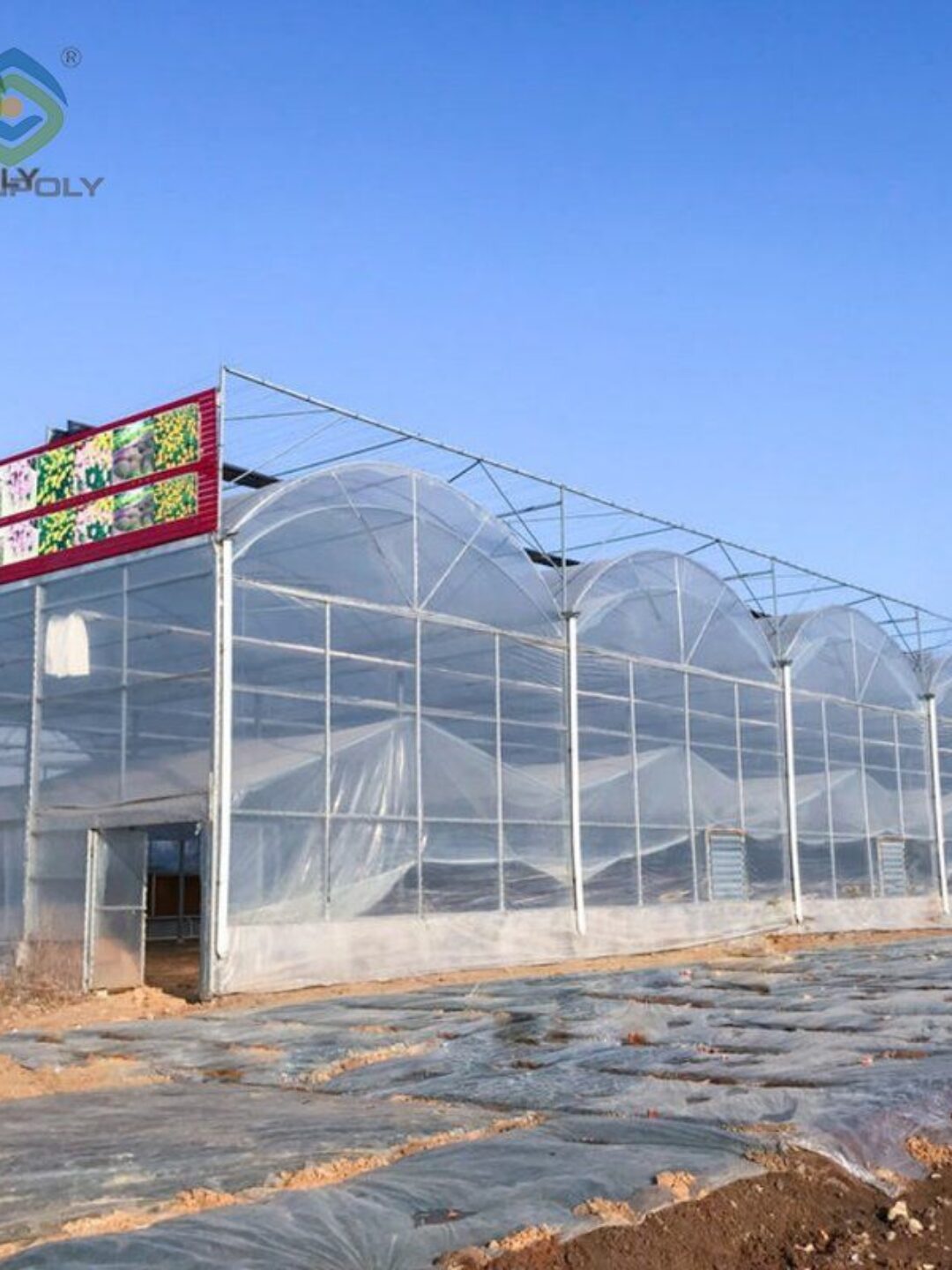 Vegetable Cultivation Film Greenhouse EG-D-A07128