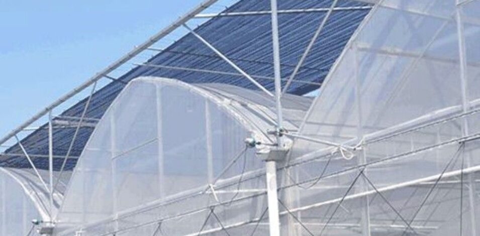Vegetable Cultivation Film Greenhouse EG-D-CDFFD7