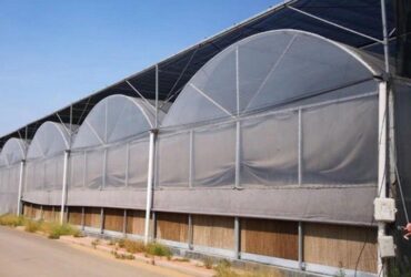 Vegetable Cultivation Film Greenhouse EG-D-CDFFD7