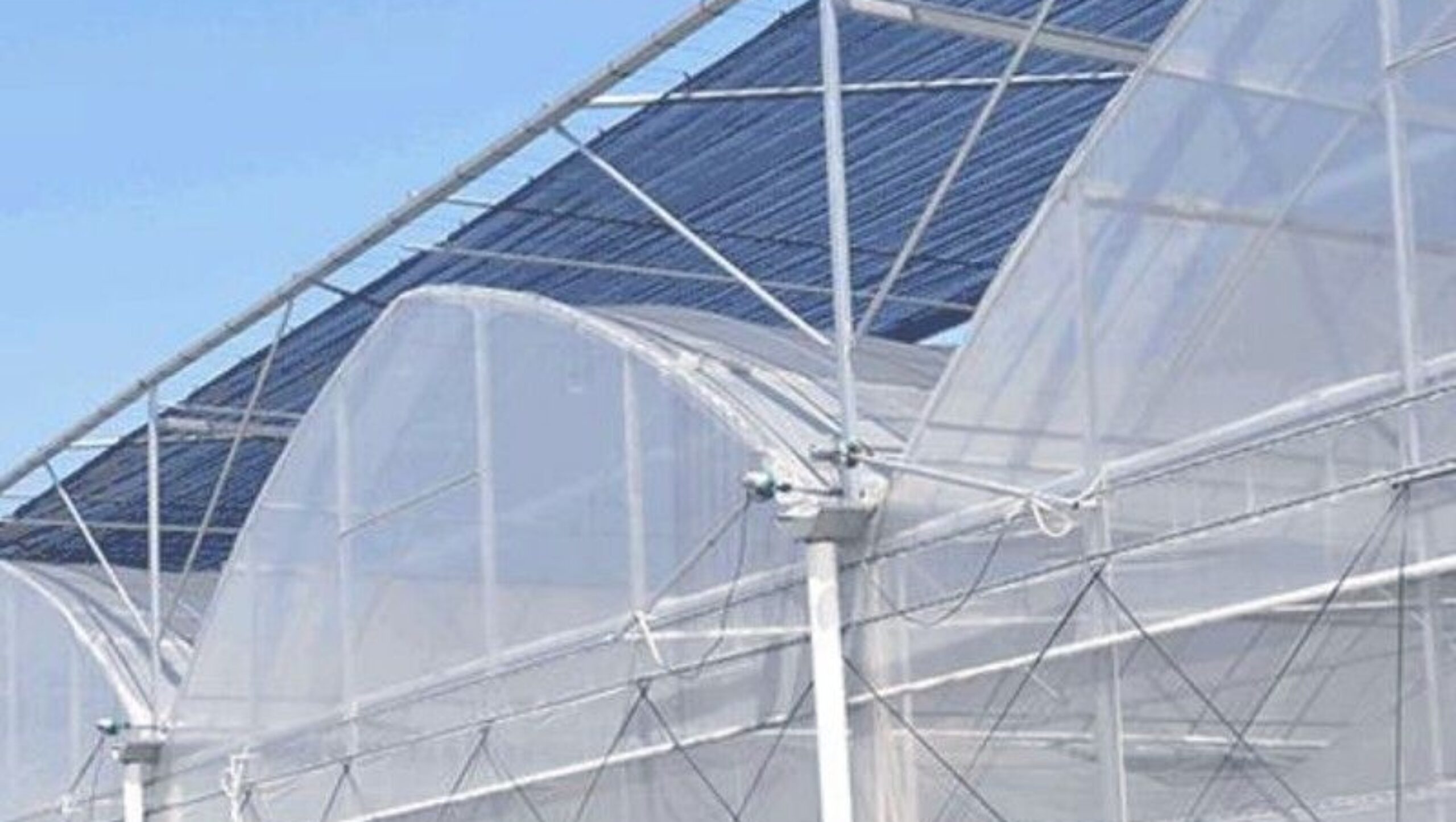 Vegetable Cultivation Film Greenhouse EG-D-CDFFD7