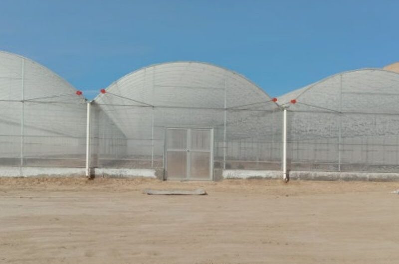 Vegetable Cultivation Film Greenhouse EG-D-CDFFD7