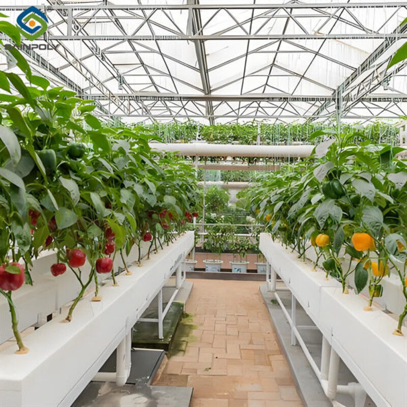 Vegetable Fruits Growing Farm Hydroponic Greenhouse Vertical / Horizontal NFT