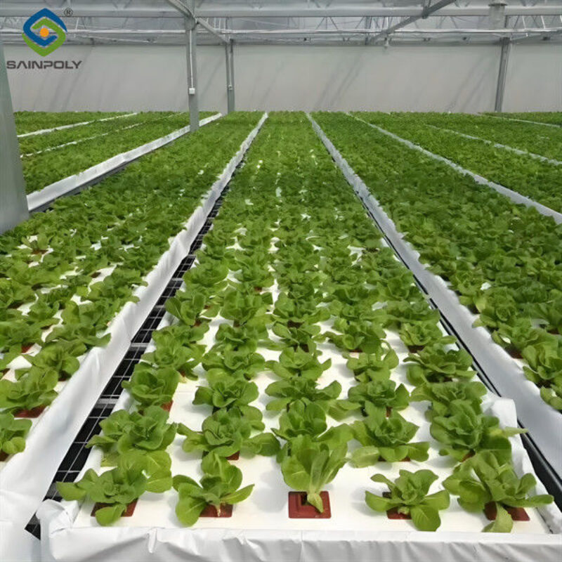 Vegetable Fruits Growing Farm Hydroponic Greenhouse Vertical / Horizontal NFT