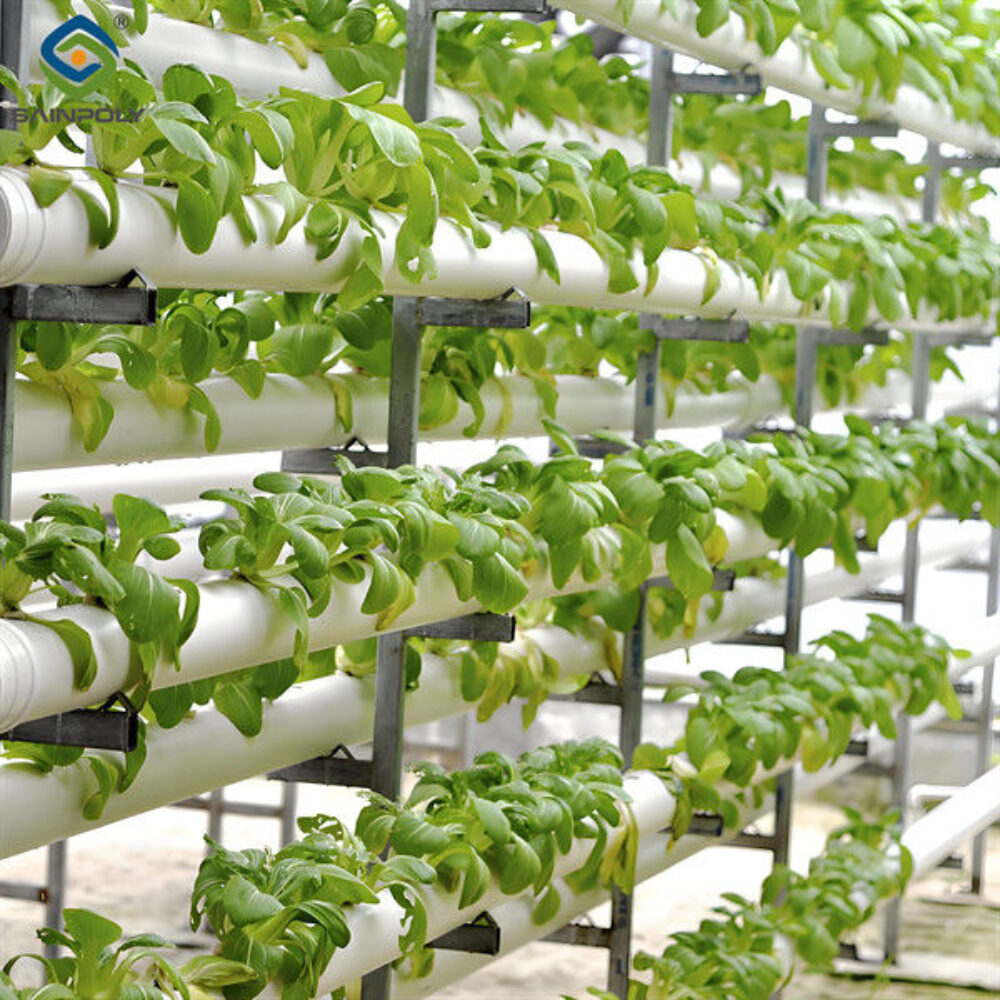 Vegetable Fruits Growing Farm Hydroponic Greenhouse Vertical / Horizontal NFT