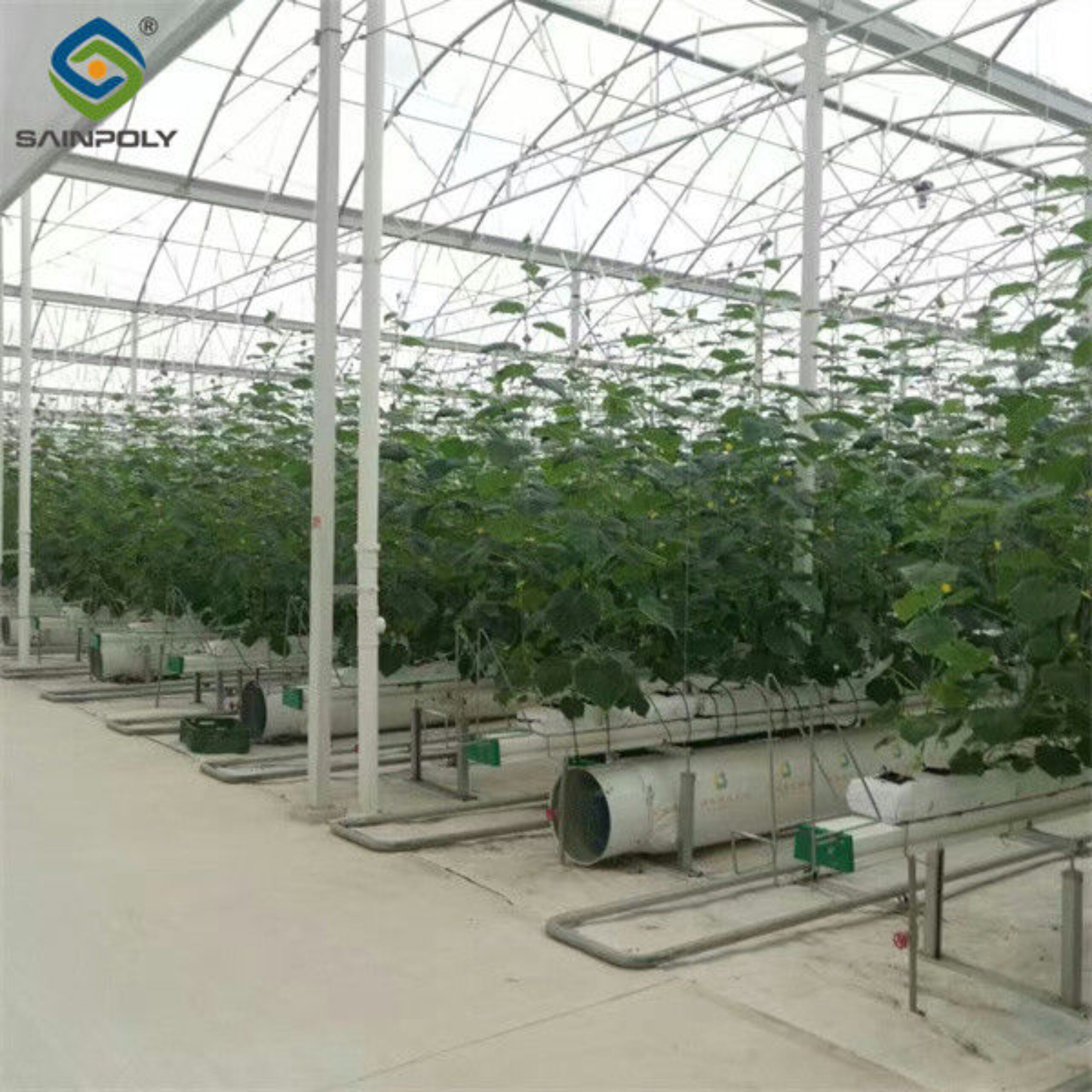 Vegetable Growing Multispan Tomato Greenhouse Custom Large Size