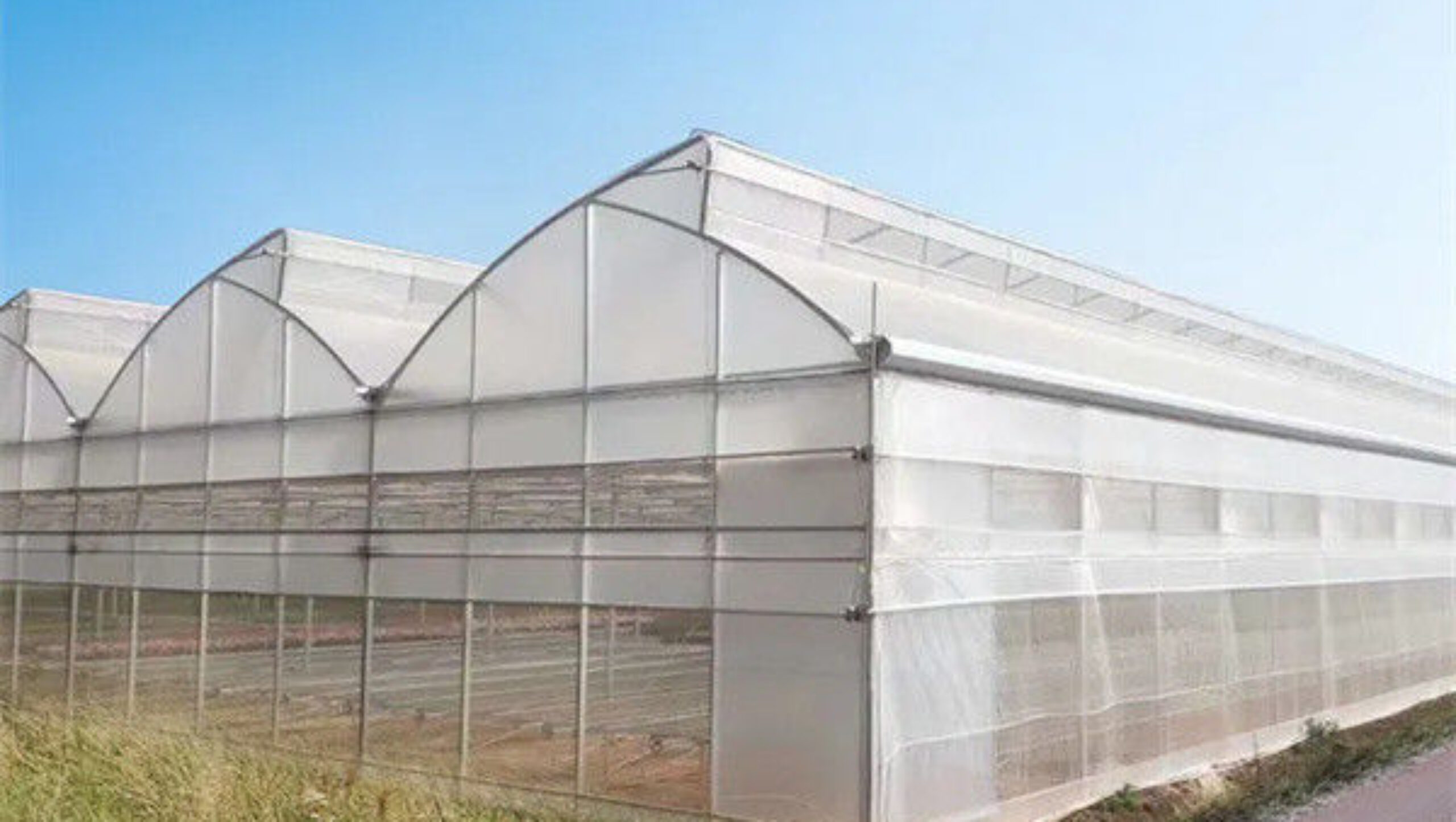 Vegetables Fruits Growing Gothic Shaped Greenhouse PO PEP Plastic Film Covering