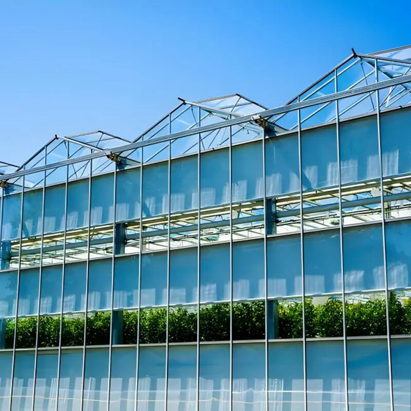 Venlo Glass greenhouse for agricultural product cultivation