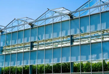 Venlo Glass greenhouse for agricultural product cultivation