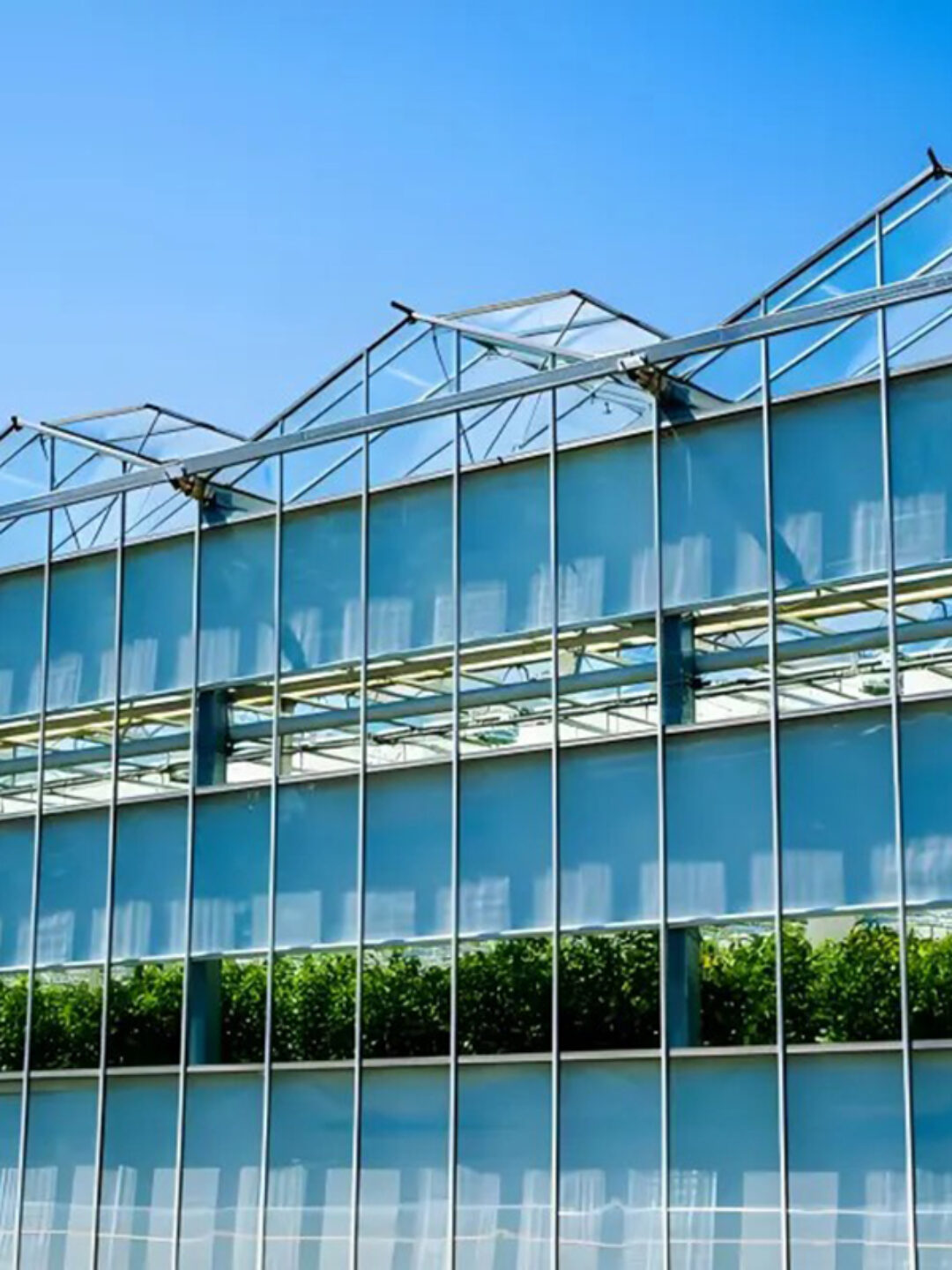 Venlo Glass greenhouse for agricultural product cultivation