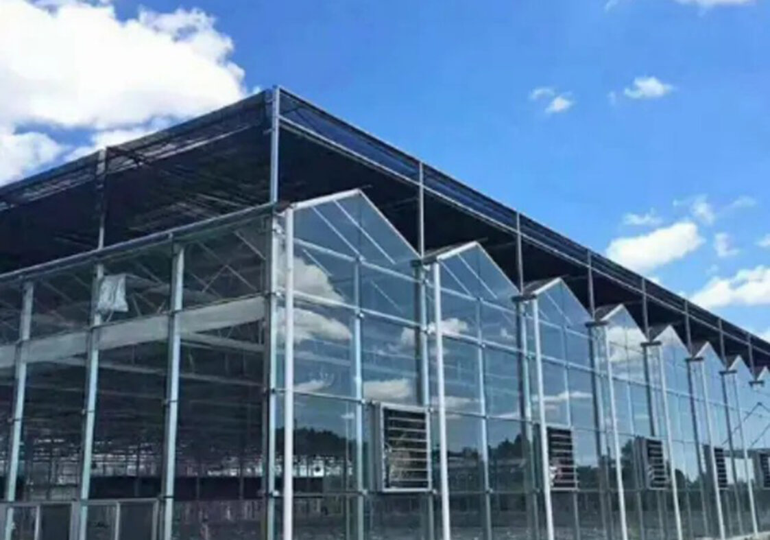 Venlo Glass greenhouse for agricultural product cultivation