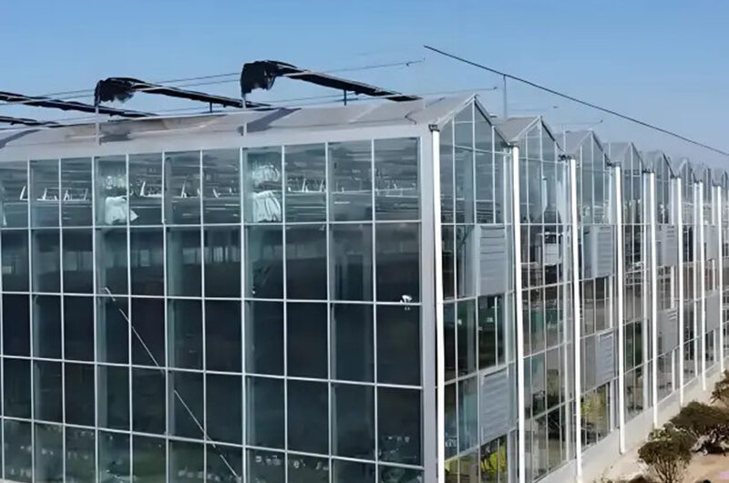 Venlo Glass greenhouse for agricultural product cultivation