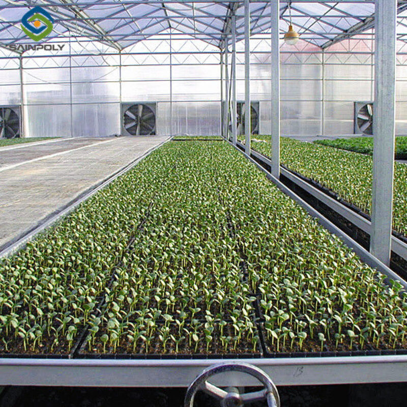 Venlo Greenhouse Commercial Polycarbonate Glass Greenhouse For Seeds Vegetables Hydroponic Tomato