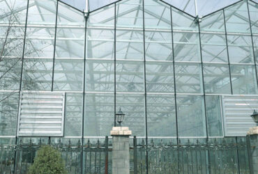 Venlo Greenhouse Commercial Polycarbonate Glass Greenhouse For Seeds Vegetables Hydroponic Tomato