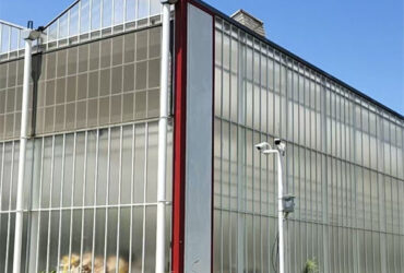 Venlo Greenhouse Commercial Polycarbonate Glass Greenhouse For Seeds Vegetables Hydroponic Tomato