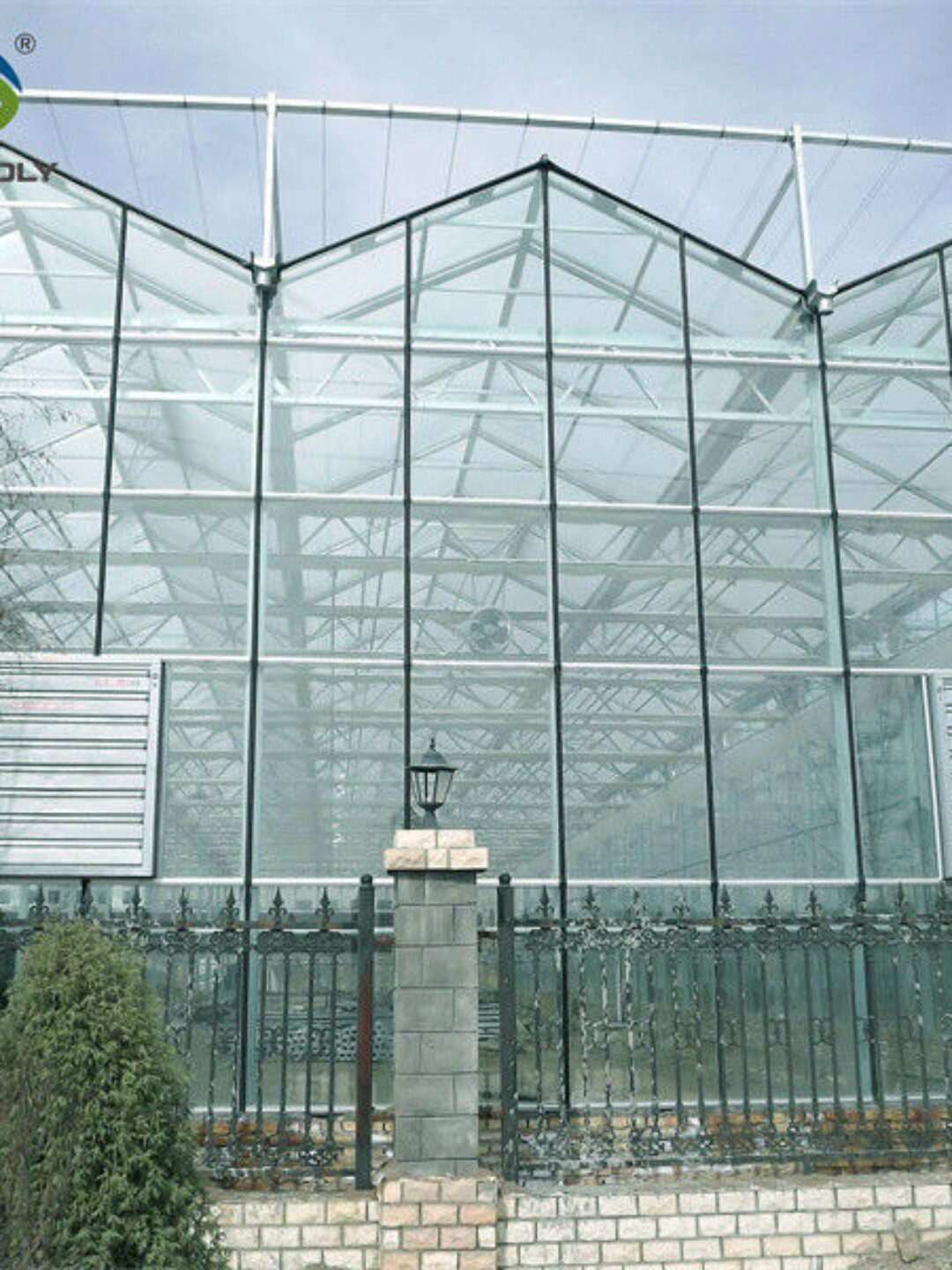 Venlo Greenhouse Commercial Polycarbonate Glass Greenhouse For Seeds Vegetables Hydroponic Tomato