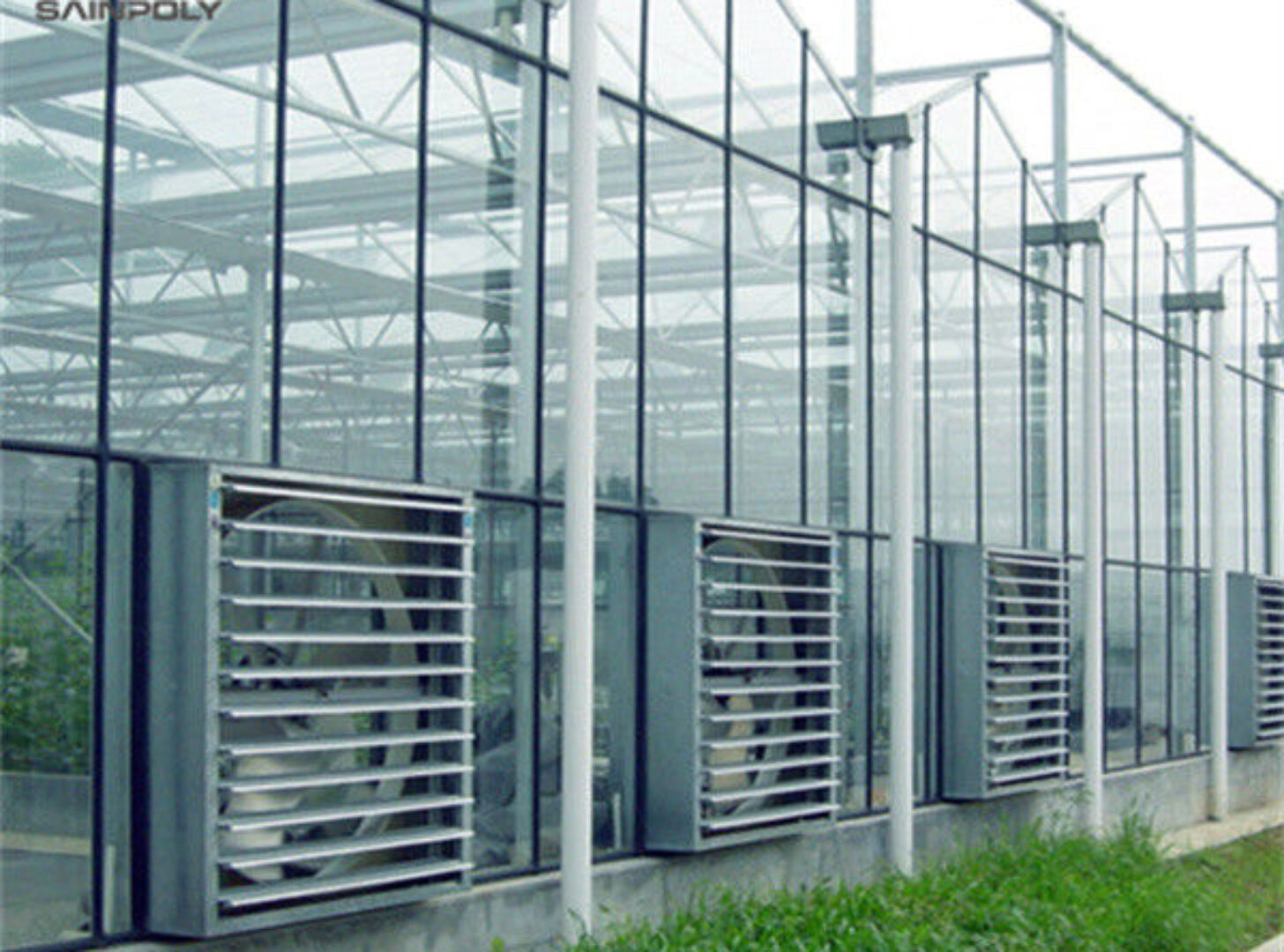 Venlo Greenhouse Commercial Polycarbonate Glass Greenhouse For Seeds Vegetables Hydroponic Tomato