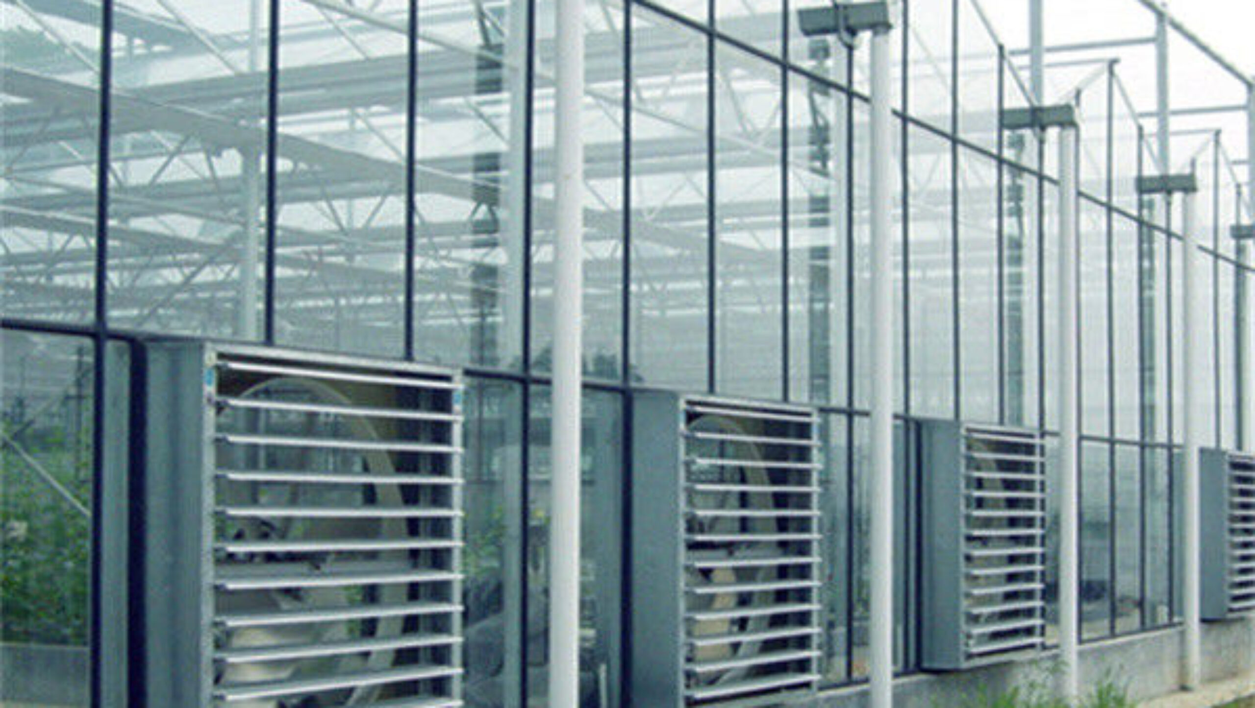 Venlo Greenhouse Commercial Polycarbonate Glass Greenhouse For Seeds Vegetables Hydroponic Tomato