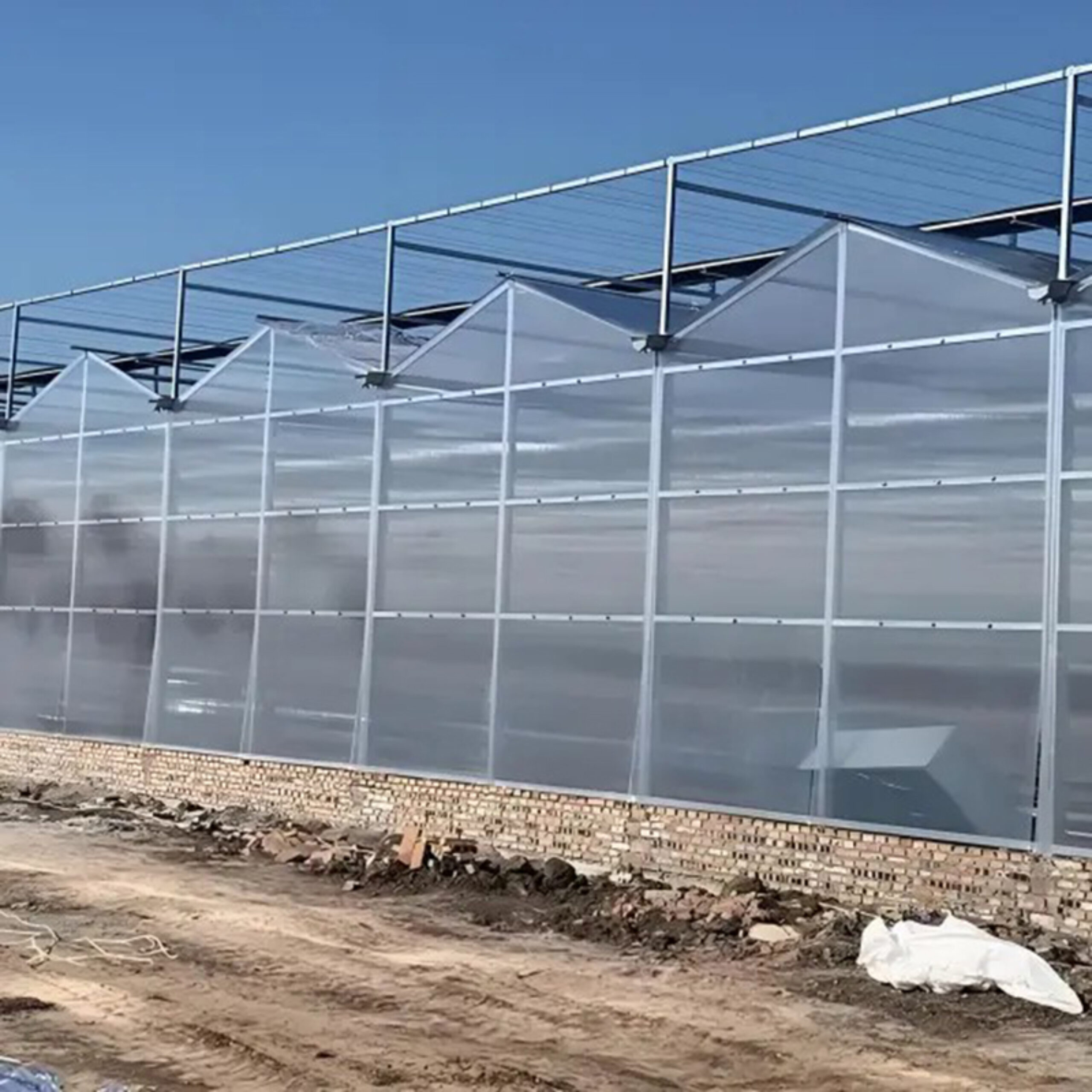 Venlo greenhouse is used for vegetable cultivation
