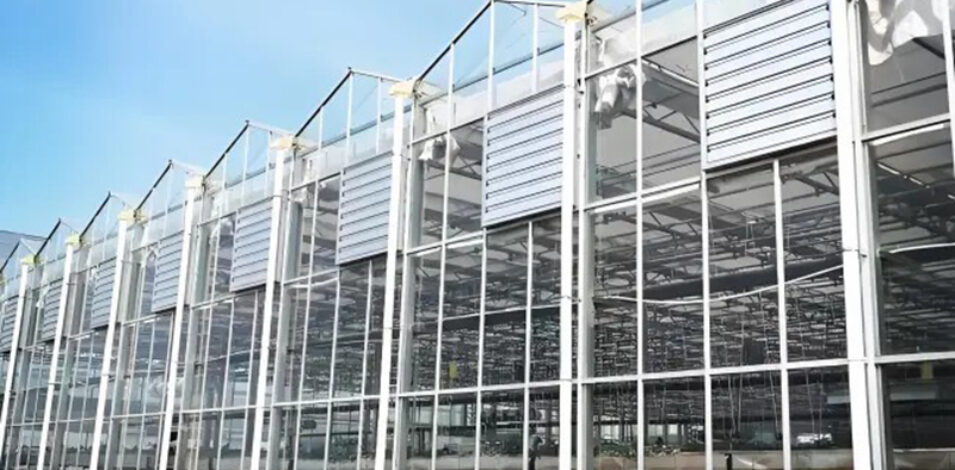 Venlo greenhouse is used for vegetable cultivation