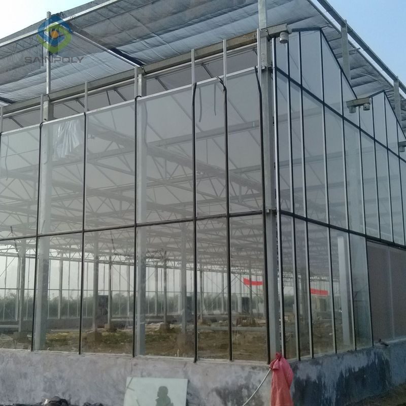 Venlo Greenhouse System