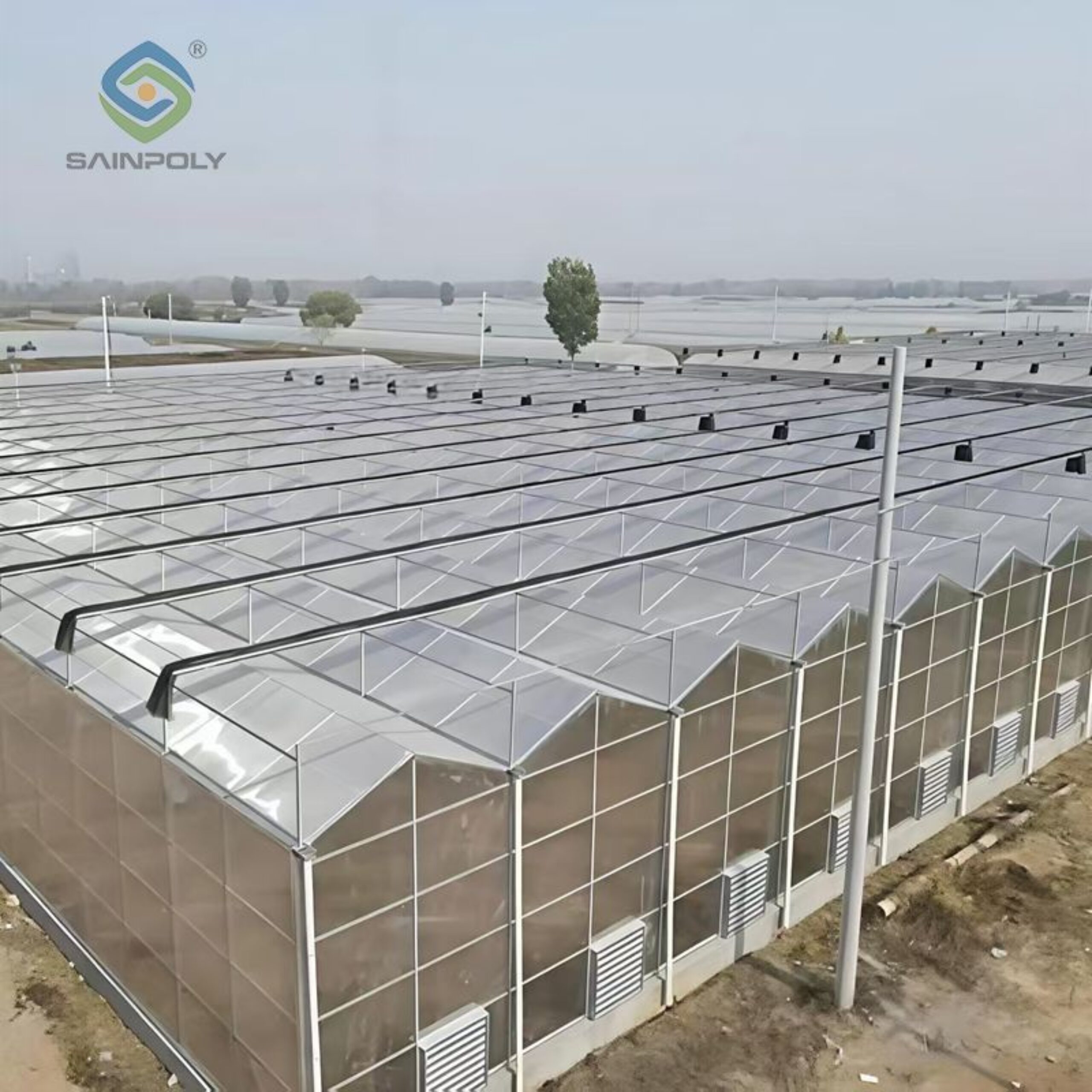 Venlo Greenhouse System