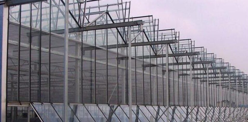 Venlo Greenhouse System