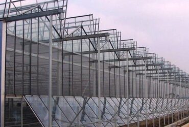 Venlo Greenhouse System