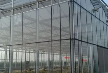 Venlo Greenhouse System