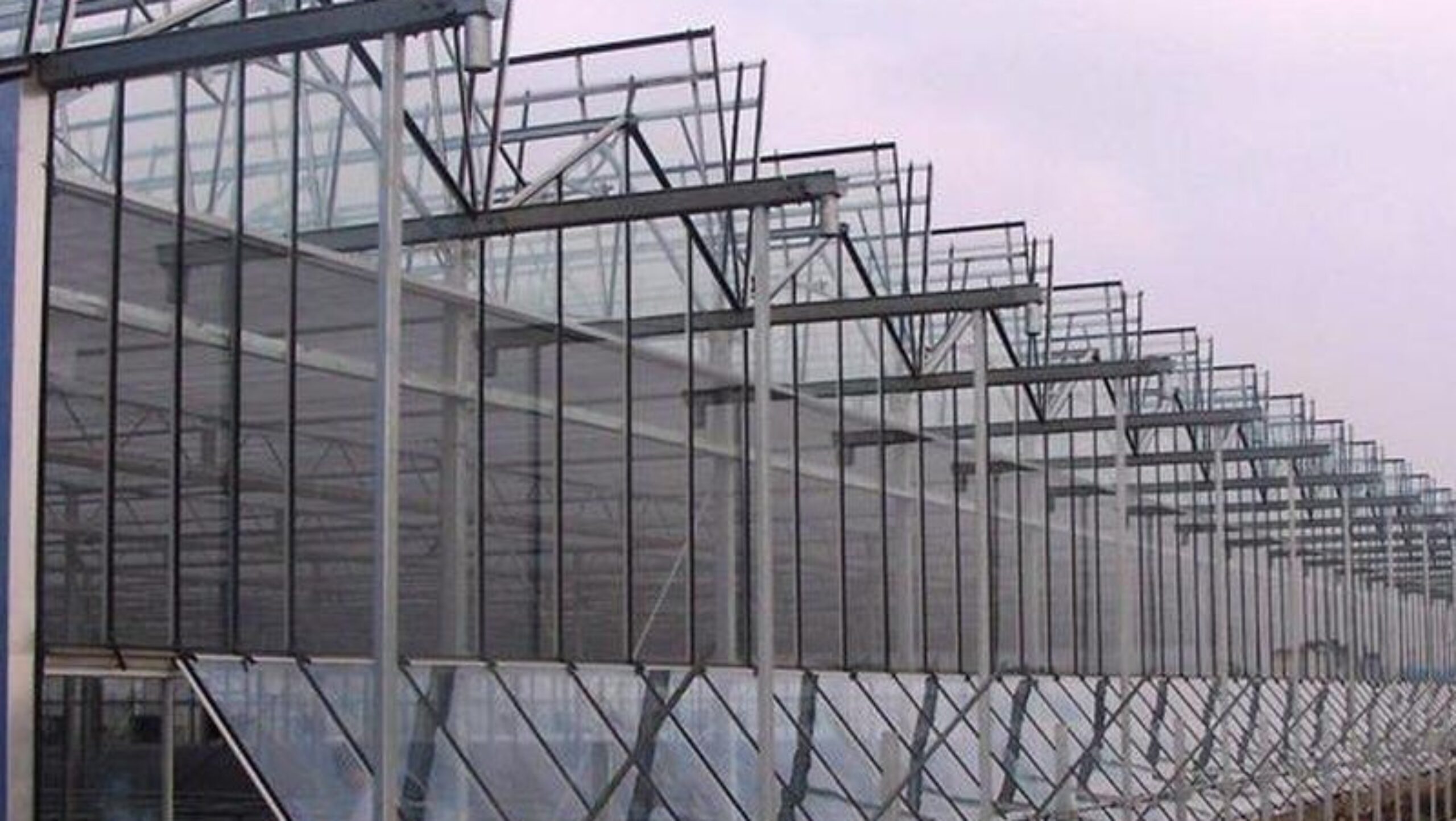 Venlo Greenhouse System
