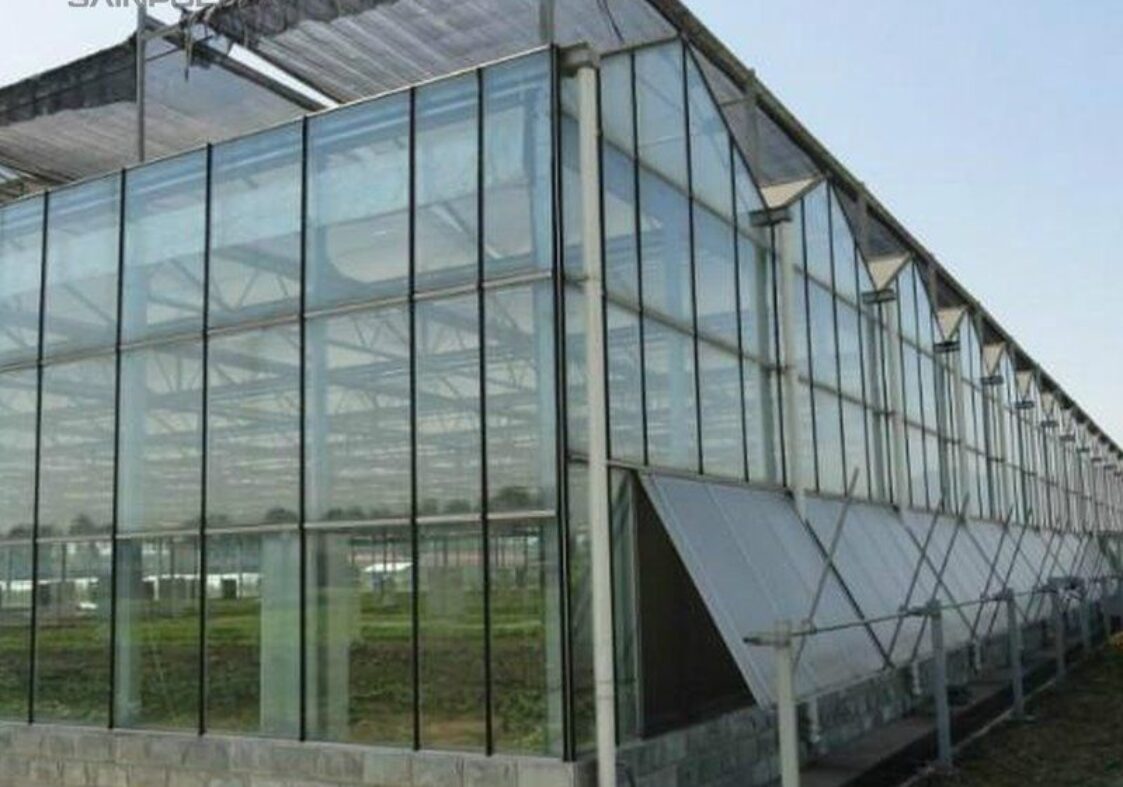 Venlo Greenhouse System