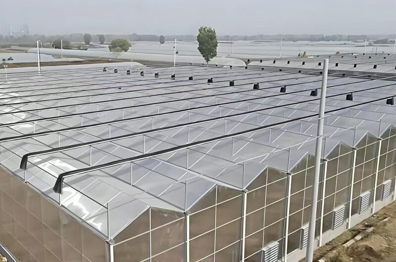 Venlo Greenhouse System