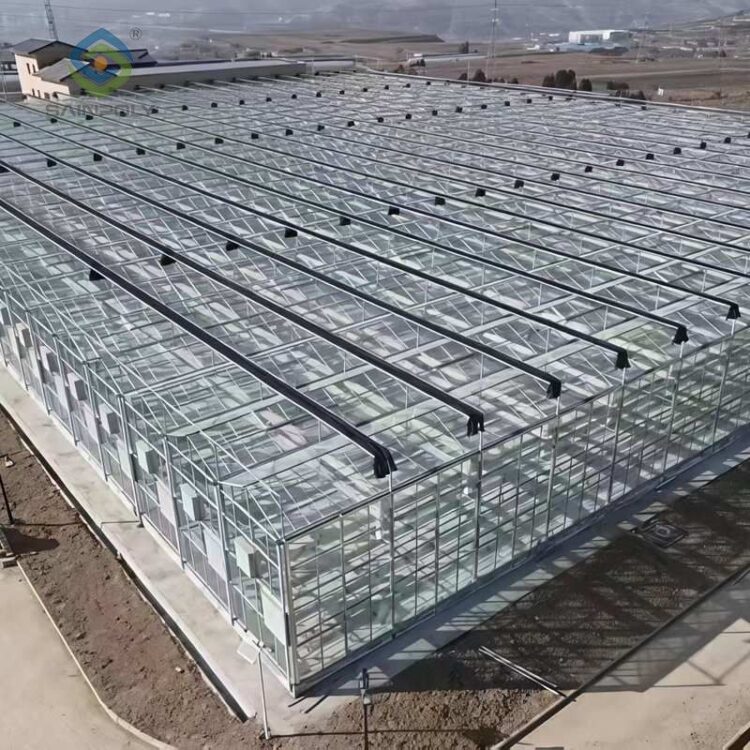 Venlo Greenhouse System: An "Industrialized Chassis" Integrating High Light Efficiency and Full