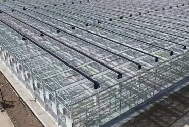 Venlo Greenhouse System: An "Industrialized Chassis" Integrating High Light Efficiency and Full