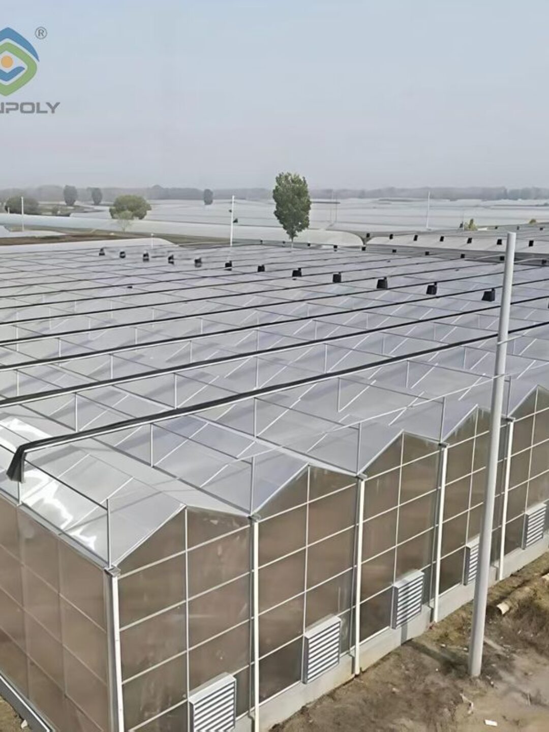 Venlo Greenhouse System: An "Industrialized Chassis" Integrating High Light Efficiency and Full