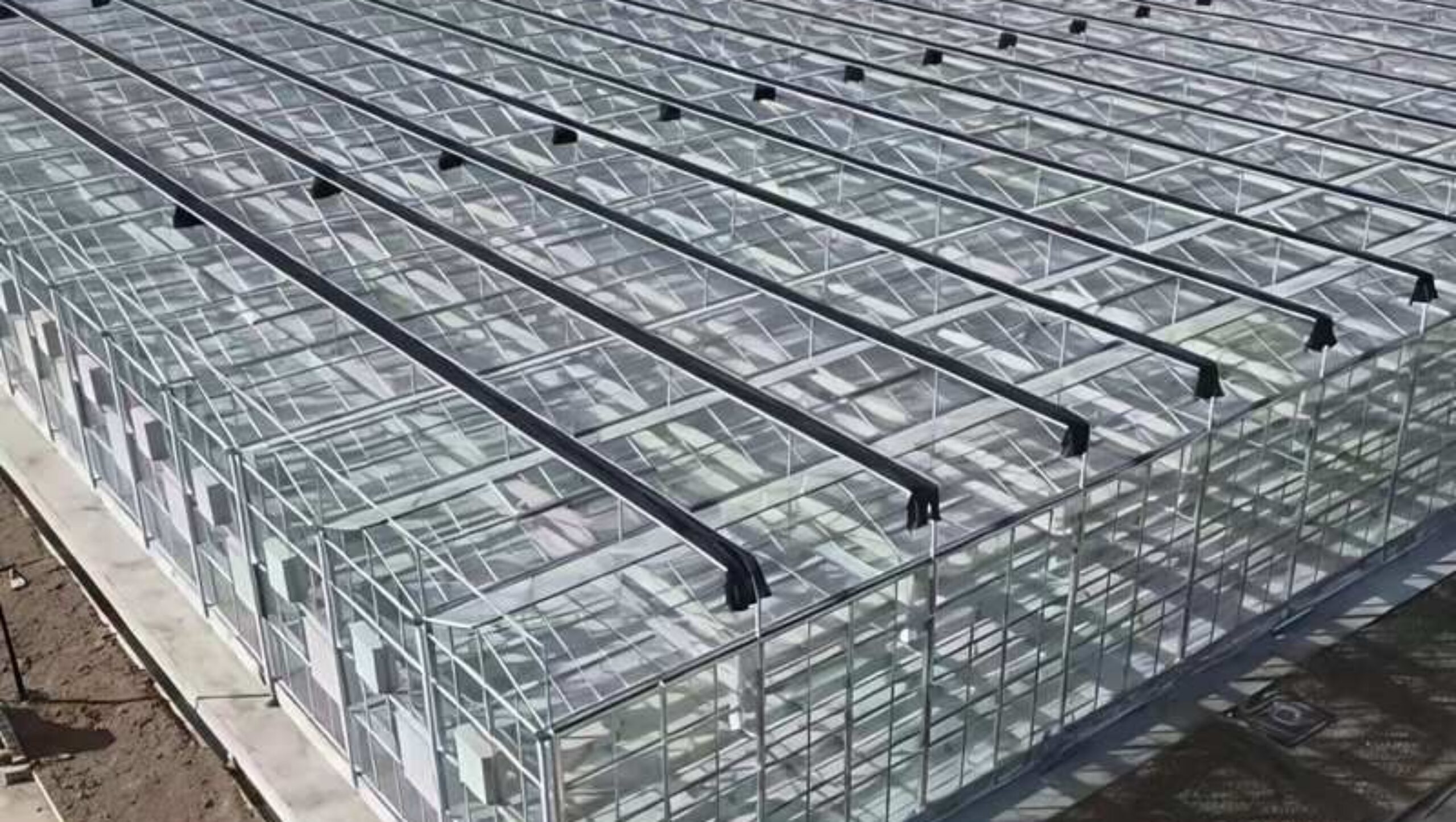 Venlo Greenhouse System: An "Industrialized Chassis" Integrating High Light Efficiency and Full