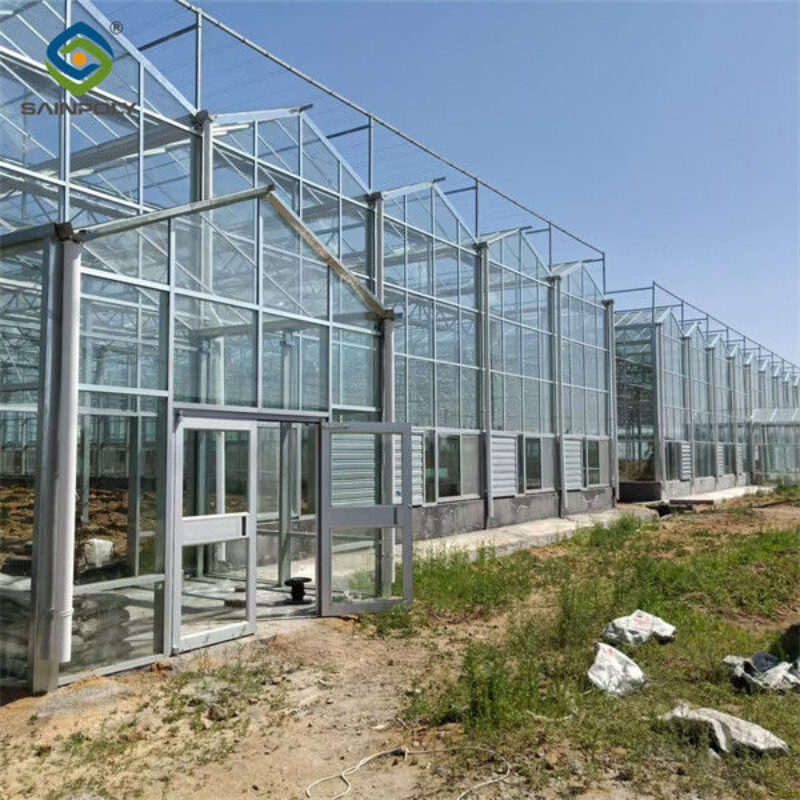Venlo Multi Span Custom Glass Greenhouse For Vegetables Farming Growing