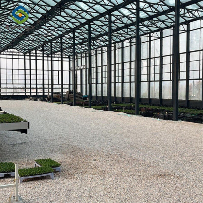 Venlo Multi Span Custom Glass Greenhouse For Vegetables Farming Growing
