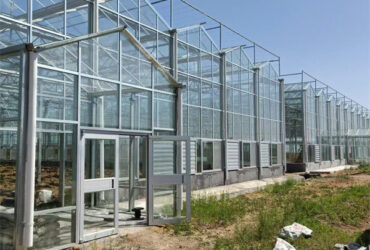 Venlo Multi Span Custom Glass Greenhouse For Vegetables Farming Growing