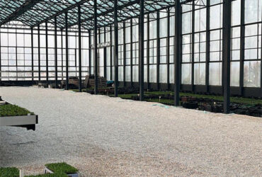 Venlo Multi Span Custom Glass Greenhouse For Vegetables Farming Growing