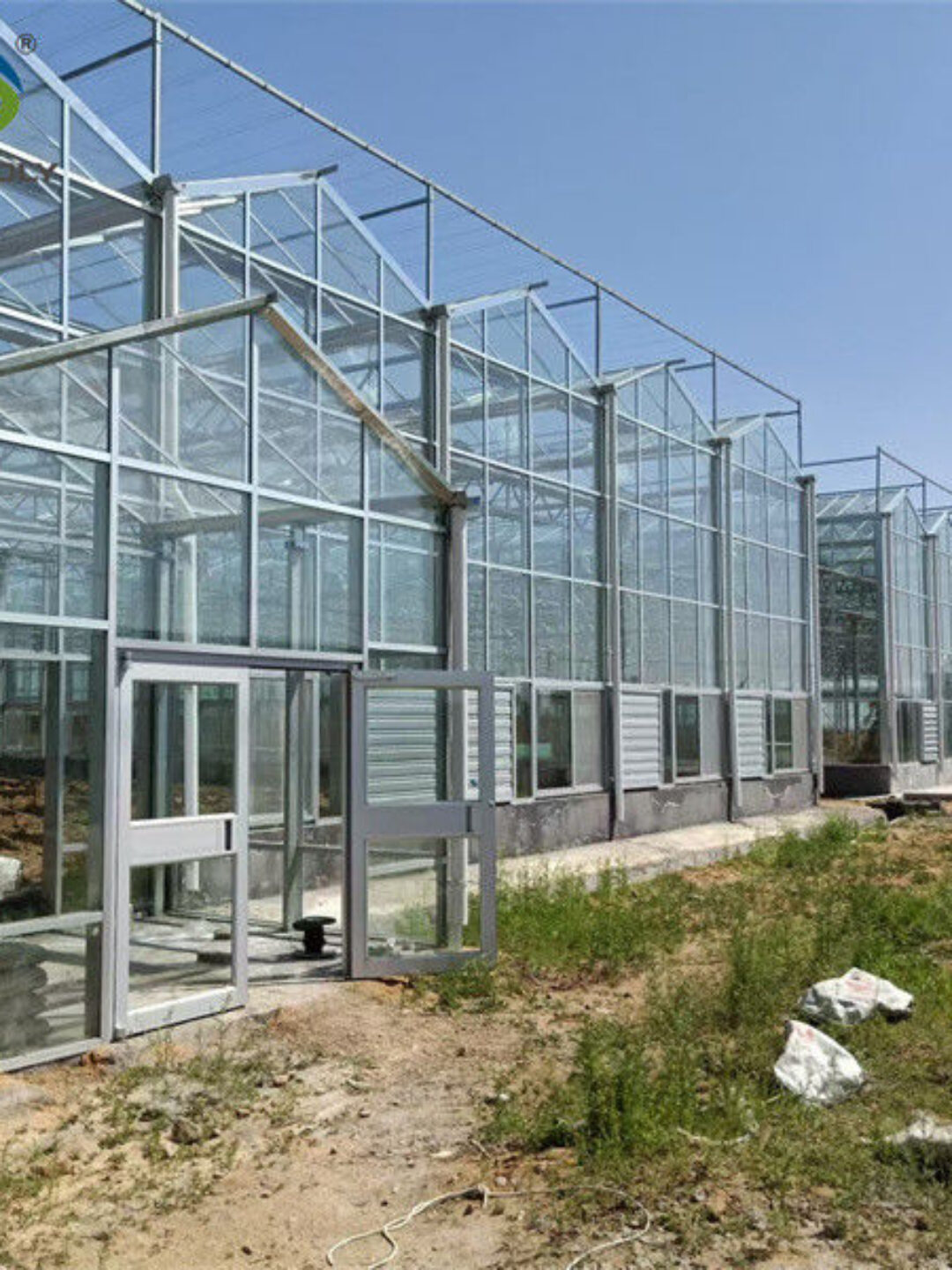 Venlo Multi Span Custom Glass Greenhouse For Vegetables Farming Growing