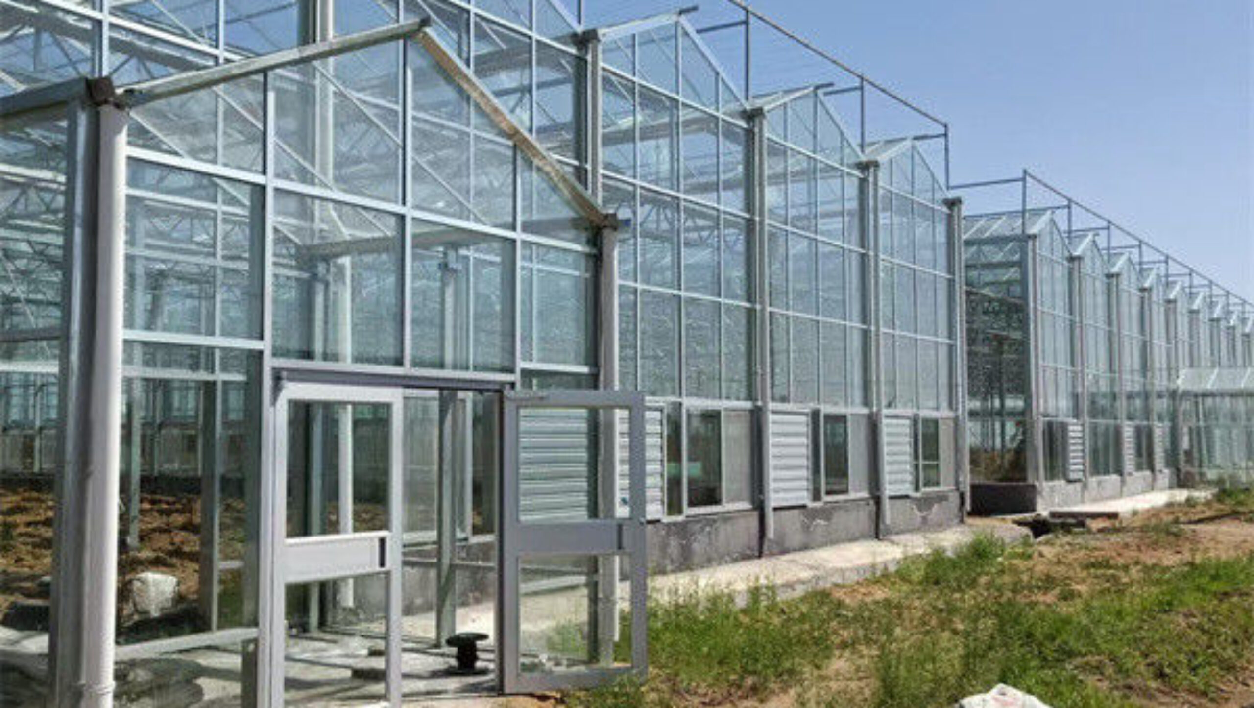 Venlo Multi Span Custom Glass Greenhouse For Vegetables Farming Growing
