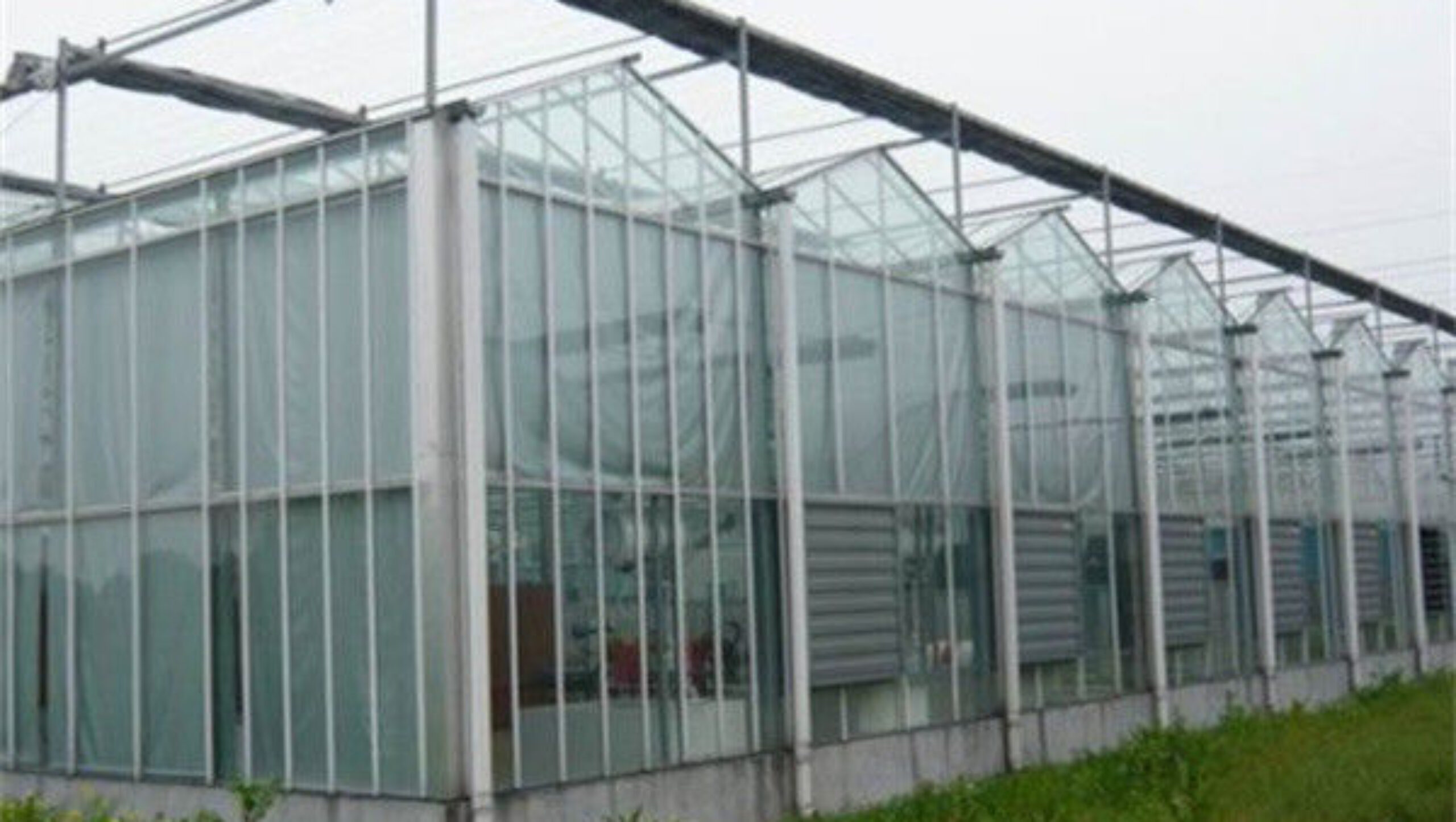 Venlo Multi Span Custom Glass Greenhouse For Vegetables Farming Growing