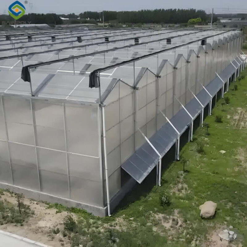 Venlo Style Polycarbonate Farming Green House Customizable Size