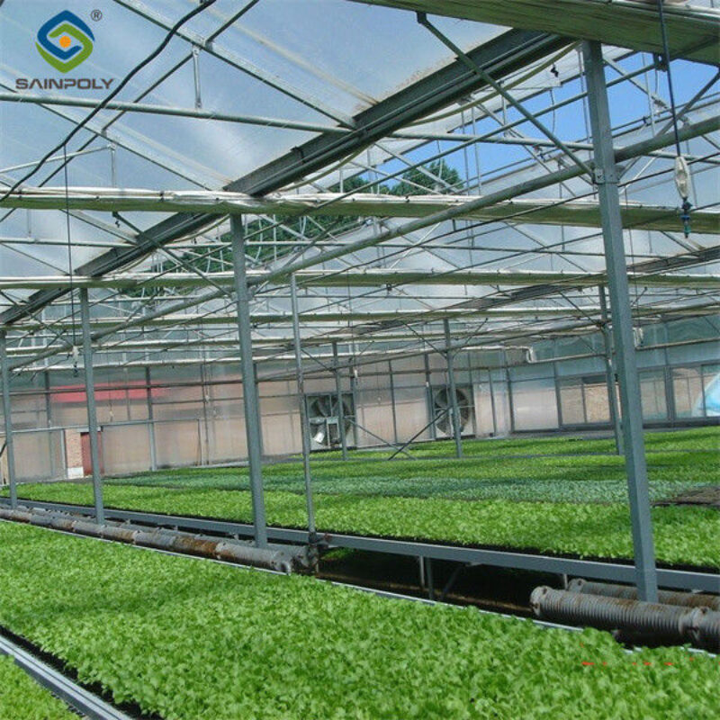 Venlo Style Polycarbonate Farming Green House Customizable Size