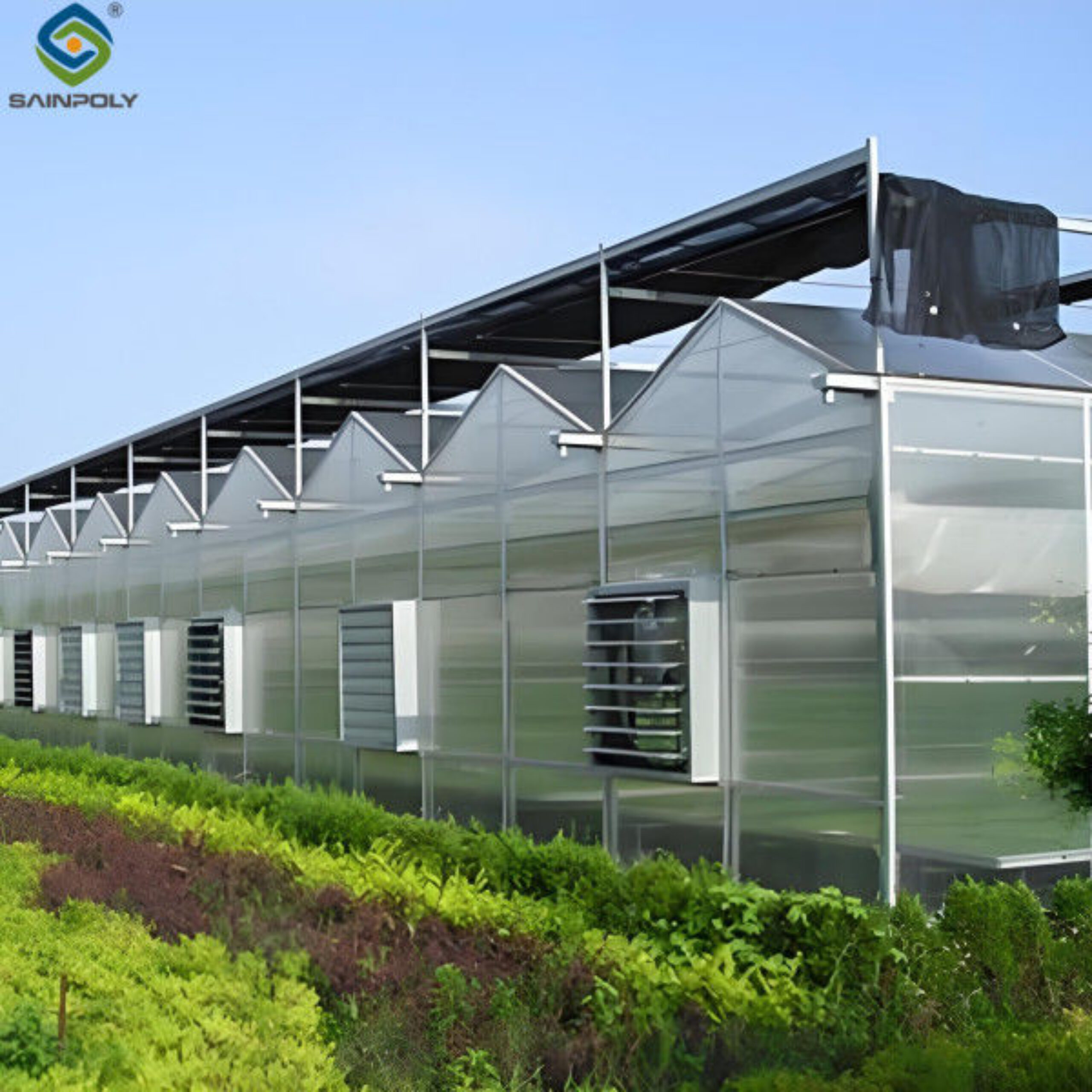 Venlo Style Polycarbonate Farming Green House Customizable Size
