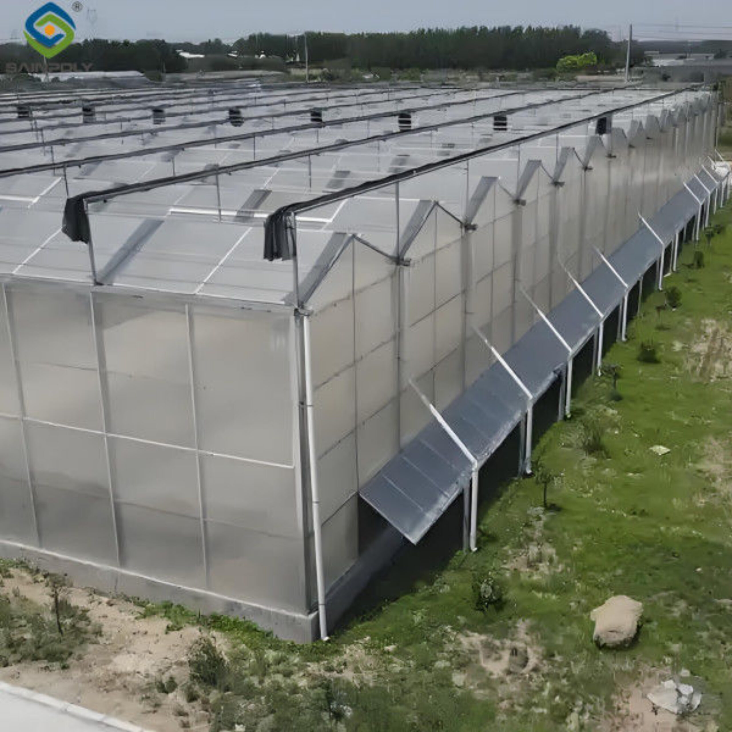 Venlo Style Polycarbonate Farming Green House Customizable Size