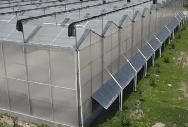 Venlo Style Polycarbonate Farming Green House Customizable Size