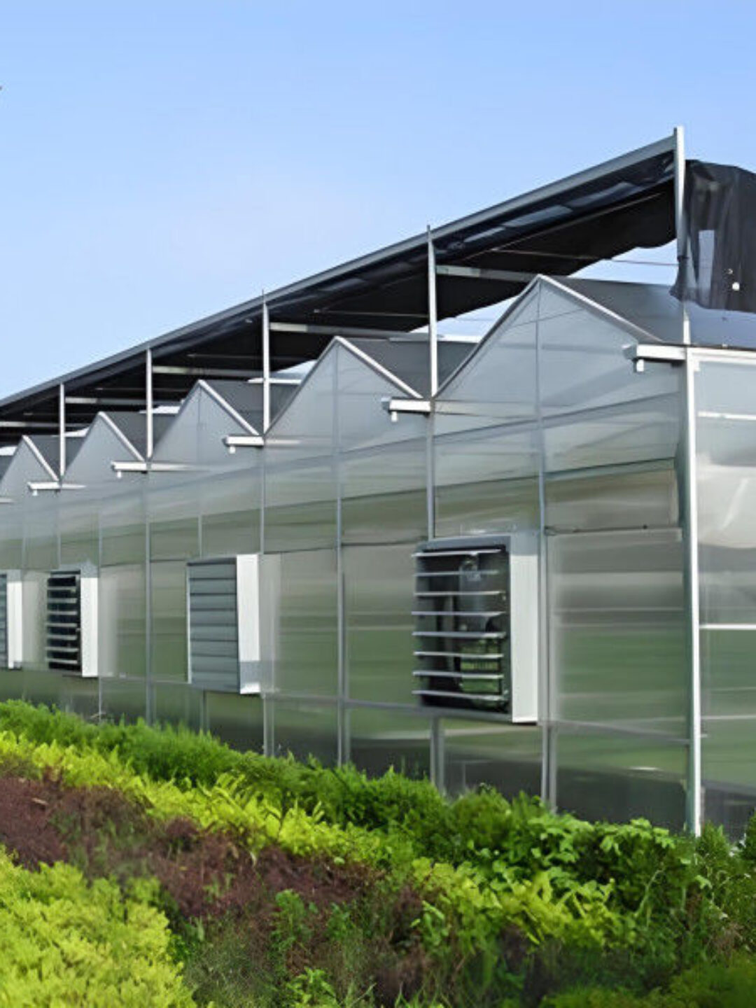 Venlo Style Polycarbonate Farming Green House Customizable Size